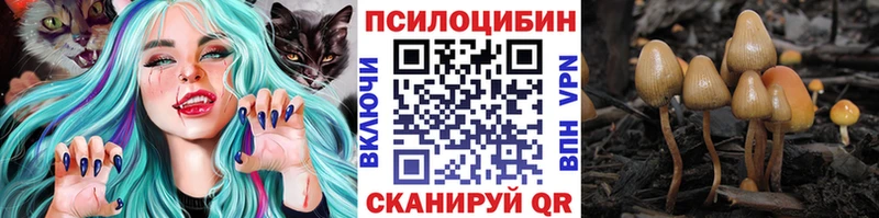 Галлюциногенные грибы Psilocybine cubensis  Купить  Нязепетровск 