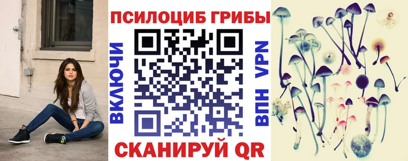 Псилоцибиновые грибы GOLDEN TEACHER Нязепетровск